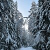https://cdn-ostrovok-ru-ion.test.edgekey.net/t/100x100/hotel_review/ae/65/ae6593583e6feeaaf1bf862826a68377b09356da.jpeg
