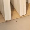 https://cdn-ostrovok-ru-ion.test.edgekey.net/t/100x100/hotel_review/ae/ba/aeba8bebbde006df568aa73cb45d1d2fa3c7dbe8.JPEG