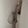 https://cdn-ostrovok-ru-ion.test.edgekey.net/t/100x100/hotel_review/af/03/af0382824553d12612eebf7cacd2594eafc65076.JPEG