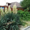 https://cdn-ostrovok-ru-ion.test.edgekey.net/t/100x100/hotel_review/af/21/af214cbb48bc8d36e350810988eedc182352352b.JPEG
