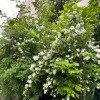 https://cdn-ostrovok-ru-ion.test.edgekey.net/t/100x100/hotel_review/af/2d/af2dec2634a2461d6f6ce13d308f4f701f4403ea.jpeg