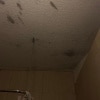 https://cdn-ostrovok-ru-ion.test.edgekey.net/t/100x100/hotel_review/af/34/af3461e0602f43ce927e0b07bb2b24e6cb79216e.JPEG