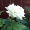 https://cdn-ostrovok-ru-ion.test.edgekey.net/t/100x100/hotel_review/af/5f/af5f719e0c1f12a9cf552f5032a5bd77d82aafd4.JPEG