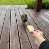 https://cdn-ostrovok-ru-ion.test.edgekey.net/t/100x100/hotel_review/af/69/af693f6e6489a068708ade97e4f95868ecb40ae8.JPEG