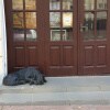 https://cdn-ostrovok-ru-ion.test.edgekey.net/t/100x100/hotel_review/af/9f/af9f063054cc1d31836a7ce85fea413c1a06391e.jpeg