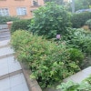https://cdn-ostrovok-ru-ion.test.edgekey.net/t/100x100/hotel_review/af/ce/afce8668da14ff4e6369eaf5b8fd1eb2077c5280.JPEG