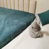 https://cdn-ostrovok-ru-ion.test.edgekey.net/t/100x100/hotel_review/b0/0f/b00f5fa26a38df23b8cf92547512ef79cf46f9ce.JPEG