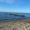 https://cdn-ostrovok-ru-ion.test.edgekey.net/t/100x100/hotel_review/b0/35/b03502f0b0f1bcf3a17851f3a15f43c01025a3b3.JPEG