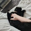 https://cdn-ostrovok-ru-ion.test.edgekey.net/t/100x100/hotel_review/b0/3e/b03eaa798c2e67711adf3f1af931dad3632e9e8d.JPEG