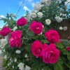 https://cdn-ostrovok-ru-ion.test.edgekey.net/t/100x100/hotel_review/b0/54/b0542bfa56fb40f9b456862f61e12d5c34a17ad5.JPEG