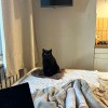 https://cdn-ostrovok-ru-ion.test.edgekey.net/t/100x100/hotel_review/b0/64/b064a4754ce900a3ea7cb93e43e30ddbe3e42017.JPEG