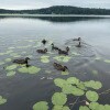https://cdn-ostrovok-ru-ion.test.edgekey.net/t/100x100/hotel_review/b0/67/b067a4ef0c8ae20fbff4085a1110675e30b02490.JPEG