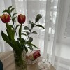 https://cdn-ostrovok-ru-ion.test.edgekey.net/t/100x100/hotel_review/b0/76/b07683ddfe356a7987bb980011cd67b22cccee86.JPEG
