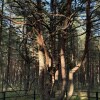 https://cdn-ostrovok-ru-ion.test.edgekey.net/t/100x100/hotel_review/b0/90/b0905a922ee48303f709208d8d6b8811bdc9eba6.JPEG