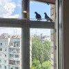 https://cdn-ostrovok-ru-ion.test.edgekey.net/t/100x100/hotel_review/b0/a8/b0a8327a081bed3ed1313ccda2362a0104b006aa.JPEG