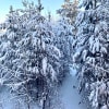 https://cdn-ostrovok-ru-ion.test.edgekey.net/t/100x100/hotel_review/b0/c2/b0c2fadb109e85ad2918c3734c2db708f2f5a8de.jpeg
