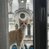 https://cdn-ostrovok-ru-ion.test.edgekey.net/t/100x100/hotel_review/b1/41/b141429657c786bc8c0d2e4ea1e792ce2de3412c.JPEG