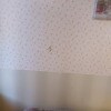 https://cdn-ostrovok-ru-ion.test.edgekey.net/t/100x100/hotel_review/b1/41/b1416dd0d4fedc919ee525ba4c5008f30da75824.JPEG