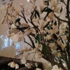 https://cdn-ostrovok-ru-ion.test.edgekey.net/t/100x100/hotel_review/b1/5e/b15e72eb4ac4a4ef44436aa7615bcb998a93d410.JPEG