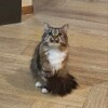 https://cdn-ostrovok-ru-ion.test.edgekey.net/t/100x100/hotel_review/b1/6d/b16d97bd69da5c5e48b1865d2730ed1fa8ae0ff9.JPEG