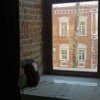 https://cdn-ostrovok-ru-ion.test.edgekey.net/t/100x100/hotel_review/b1/9e/b19ea77880beff89d94543a16c76abb03ddf9448.jpeg