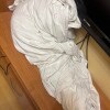 https://cdn-ostrovok-ru-ion.test.edgekey.net/t/100x100/hotel_review/b1/b0/b1b0ba2ff8e38df04a290a263c7c2b43cb11c4c8.JPEG
