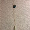 https://cdn-ostrovok-ru-ion.test.edgekey.net/t/100x100/hotel_review/b1/c0/b1c04639e1ed2c0e98e25291c1192b16b540d1b4.JPEG