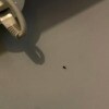 https://cdn-ostrovok-ru-ion.test.edgekey.net/t/100x100/hotel_review/b1/c3/b1c34726c04e6076a446f75164c823e8556dbf1f.jpeg