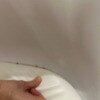 https://cdn-ostrovok-ru-ion.test.edgekey.net/t/100x100/hotel_review/b2/77/b277f4bf70396fec960b0ad6ba88536b7e3a522a.JPEG