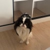 https://cdn-ostrovok-ru-ion.test.edgekey.net/t/100x100/hotel_review/b2/83/b28397eea113c91e31375959e9807e77a8da430a.JPEG