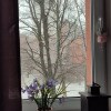 https://cdn-ostrovok-ru-ion.test.edgekey.net/t/100x100/hotel_review/b2/b3/b2b3232af1e727c57b35d120ecb3b00573681521.JPEG