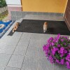 https://cdn-ostrovok-ru-ion.test.edgekey.net/t/100x100/hotel_review/b2/d0/b2d0ccb32969b21a9e4b202d94a8692988ec536f.JPEG