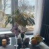 https://cdn-ostrovok-ru-ion.test.edgekey.net/t/100x100/hotel_review/b3/69/b369a32b7b12a7410acd084fc8a4846d0a51e940.JPEG