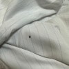 https://cdn-ostrovok-ru-ion.test.edgekey.net/t/100x100/hotel_review/b4/30/b430098891d1aed5edb568c6be19549eeab411f9.JPEG
