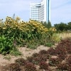 https://cdn-ostrovok-ru-ion.test.edgekey.net/t/100x100/hotel_review/b4/38/b438b3448a3f0dec97ee7864b07c6022cdde943a.jpeg