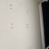 https://cdn-ostrovok-ru-ion.test.edgekey.net/t/100x100/hotel_review/b4/44/b44435bc9e19f0c56f38e88219da9940f98e99c8.JPEG
