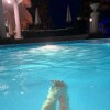 https://cdn-ostrovok-ru-ion.test.edgekey.net/t/100x100/hotel_review/b4/50/b450d295f6ebbb74c01940952fa53e54c134b600.JPEG