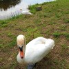https://cdn-ostrovok-ru-ion.test.edgekey.net/t/100x100/hotel_review/b4/5f/b45f6f40cec9d24841a154d7393d7fd0841f92d4.JPEG