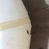 https://cdn-ostrovok-ru-ion.test.edgekey.net/t/100x100/hotel_review/b4/69/b469225ae318f711190062920bd306f37d443c35.JPEG
