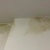 https://cdn-ostrovok-ru-ion.test.edgekey.net/t/100x100/hotel_review/b4/8b/b48b7282a93083e8fbaa00ba803d4746d1d366cc.JPEG