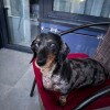 https://cdn-ostrovok-ru-ion.test.edgekey.net/t/100x100/hotel_review/b4/94/b494b3318c4af52978b83ffd87fe85f4ffa2959f.JPEG