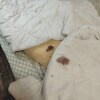 https://cdn-ostrovok-ru-ion.test.edgekey.net/t/100x100/hotel_review/b5/07/b5074b1d2b37d6218ced2df7561ddbf08e7ecfae.JPEG