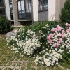 https://cdn-ostrovok-ru-ion.test.edgekey.net/t/100x100/hotel_review/b5/17/b51783e28e5d41753e7917ee669376f889bd5550.JPEG