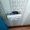 https://cdn-ostrovok-ru-ion.test.edgekey.net/t/100x100/hotel_review/b5/46/b546f01c5e66a43bd4d7c0dae1fcebbcdd237f8b.jpeg