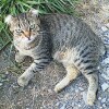 https://cdn-ostrovok-ru-ion.test.edgekey.net/t/100x100/hotel_review/b5/5e/b55e653edba56ea19549b516a02b123e31e2a61c.JPEG