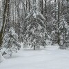 https://cdn-ostrovok-ru-ion.test.edgekey.net/t/100x100/hotel_review/b5/90/b5903f895f1dddfd47d3697b2ba6aa4a7b663a34.JPEG