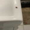 https://cdn-ostrovok-ru-ion.test.edgekey.net/t/100x100/hotel_review/b5/a7/b5a73b784a693b0c9813790abf91ba697a84d5d0.png