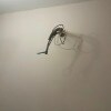 https://cdn-ostrovok-ru-ion.test.edgekey.net/t/100x100/hotel_review/b6/19/b61905558312224706c12077c2043591e245e97c.JPEG