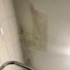 https://cdn-ostrovok-ru-ion.test.edgekey.net/t/100x100/hotel_review/b6/1d/b61d736c88fa5848f37dc6f2ada4cf892bc24258.JPEG