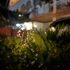 https://cdn-ostrovok-ru-ion.test.edgekey.net/t/100x100/hotel_review/b6/4b/b64b8a49d47ee36d96eb5eb4bfb5ba2ae36c72ad.JPEG